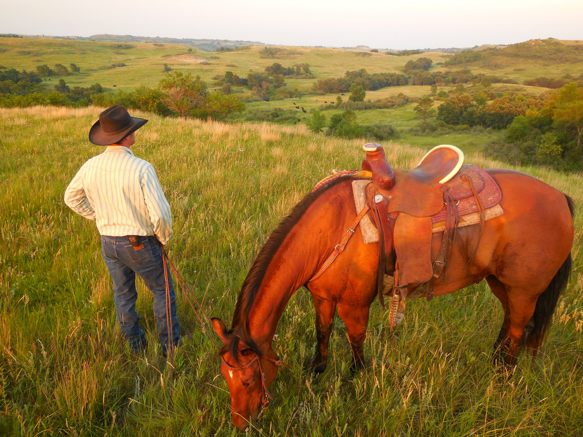 9257933159_cb0aec0add_k (1)