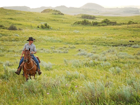 Chad on his bay horse