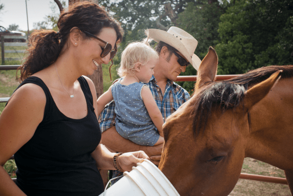 Screen Shot 2018-02-19 at 9.47.50 AM