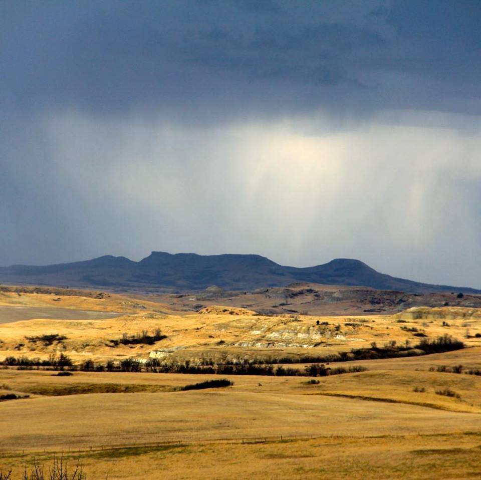 50472052_2189409727775927_4418038724873420800_n