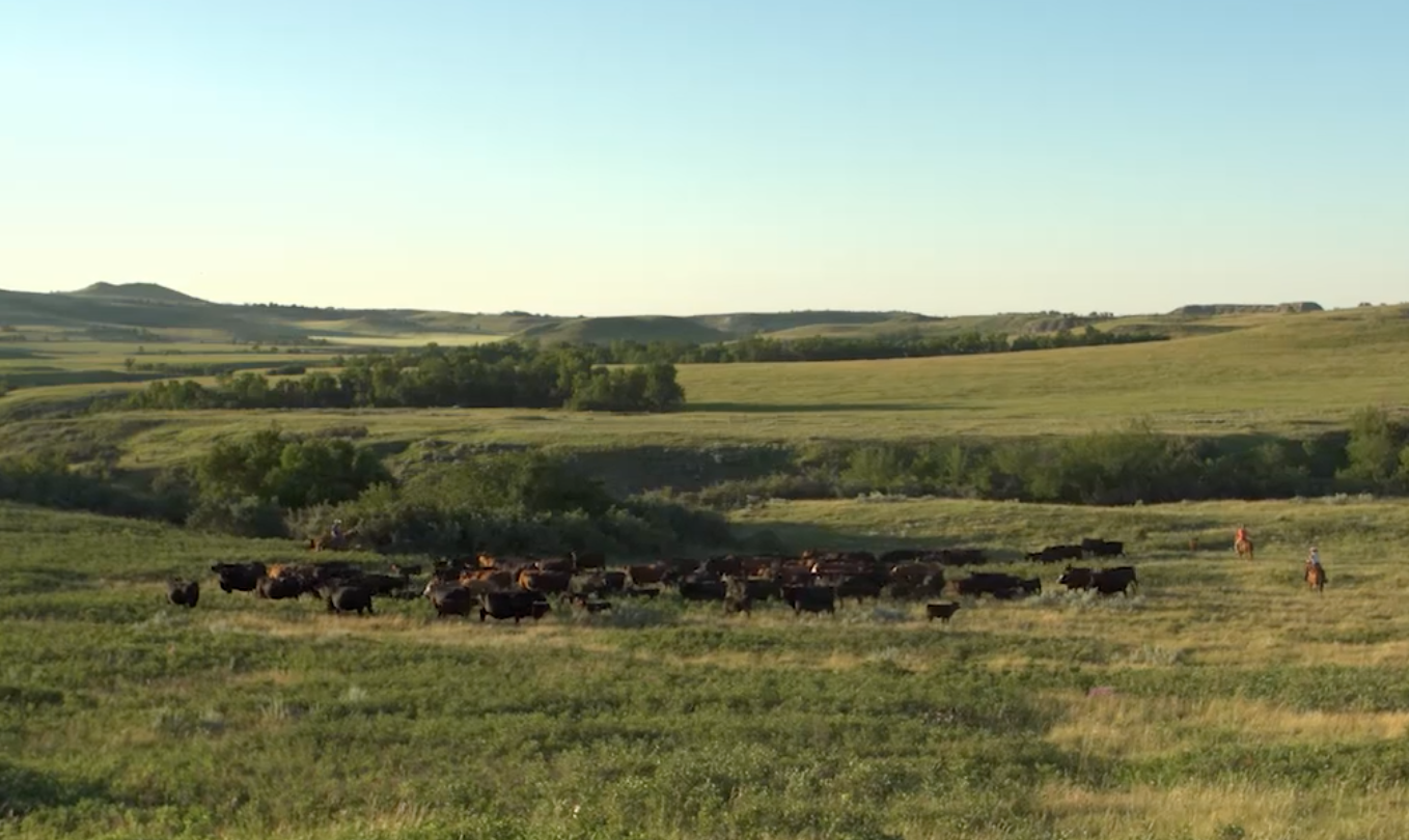 Screen Shot 2019-02-15 at 10.31.29 AM