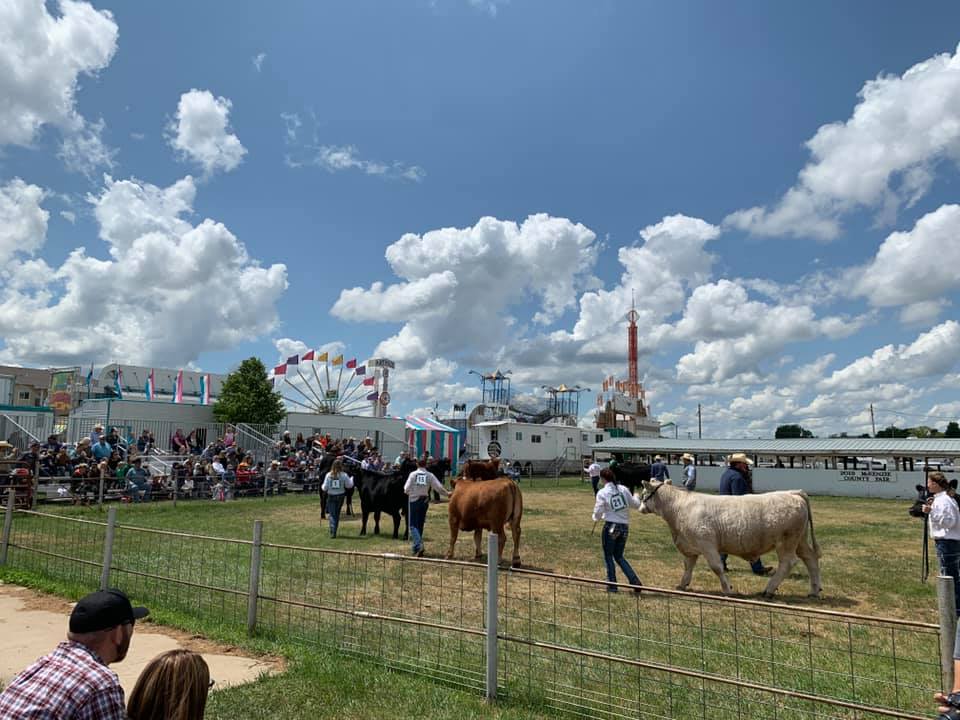 64727817_10157678532507176_1096319754110500864_n