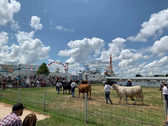 64727817_10157678532507176_1096319754110500864_n