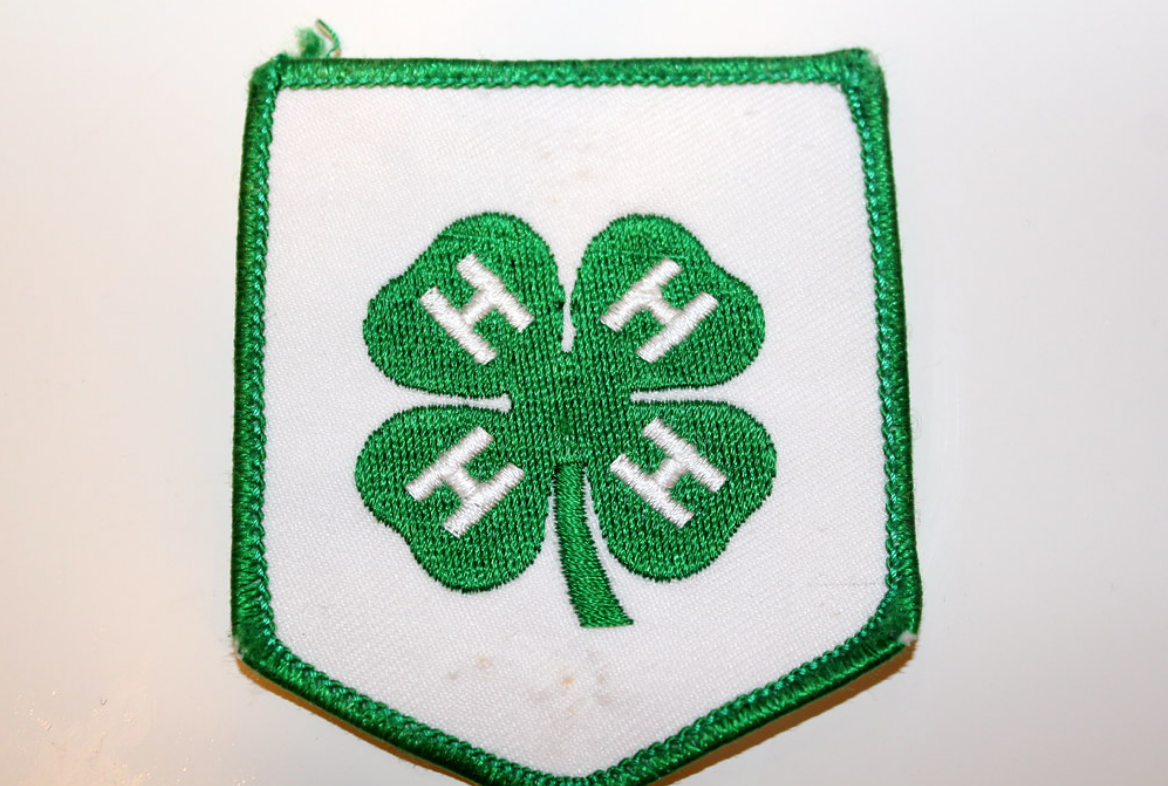 Screen Shot 2019-06-24 at 11.29.13 AM.png