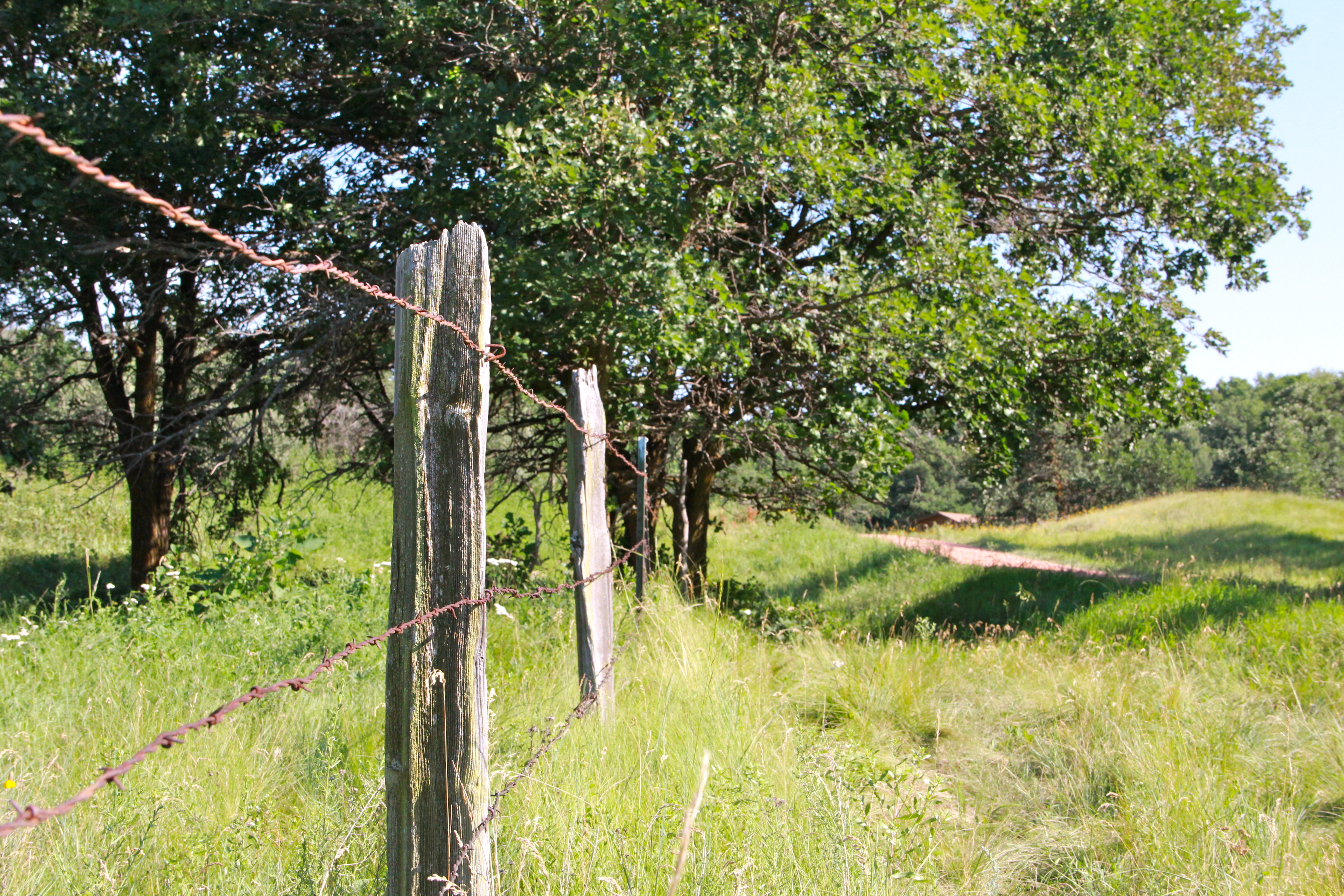 The rules of fencing 5