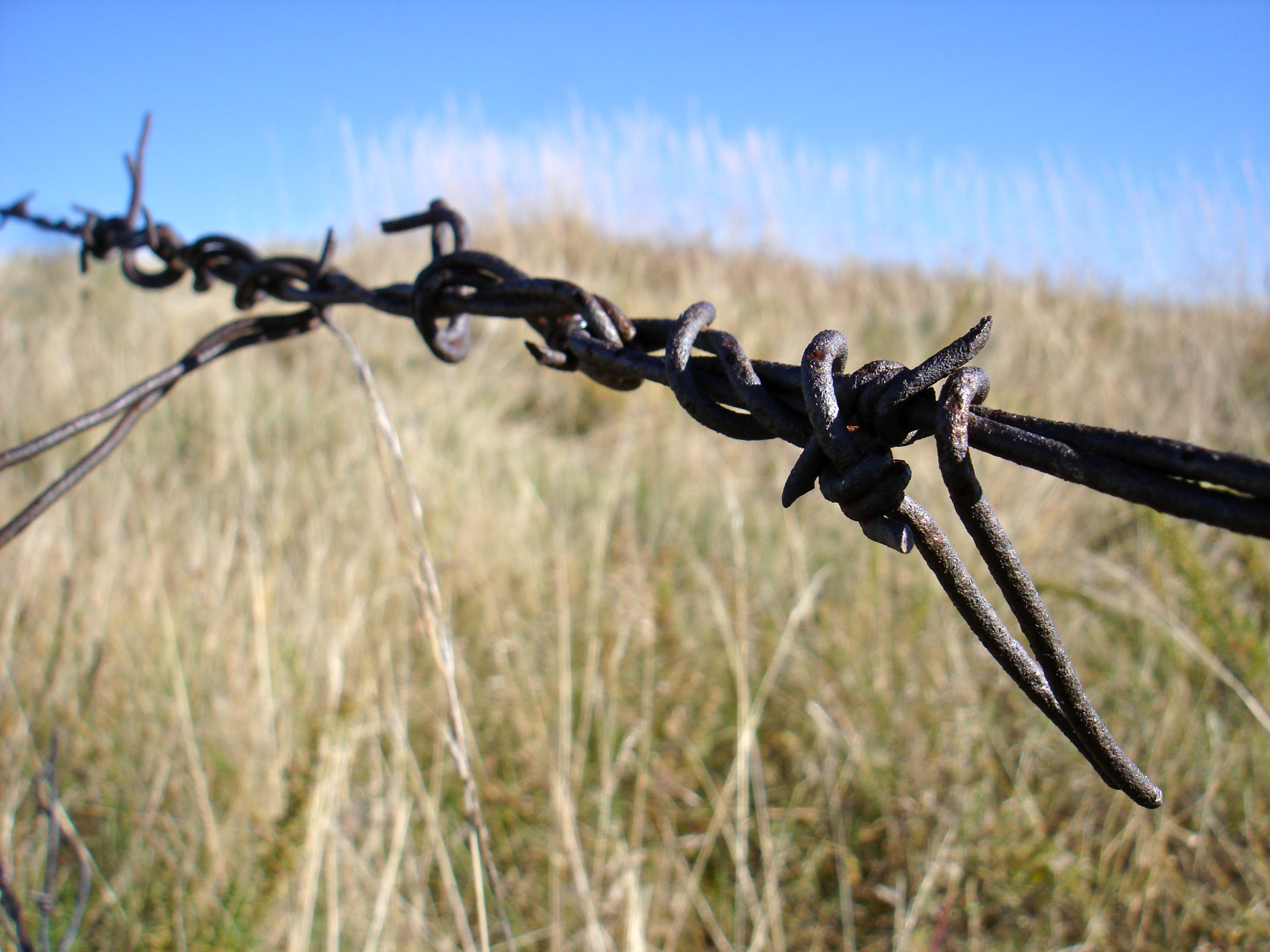 The rules of fencing 6