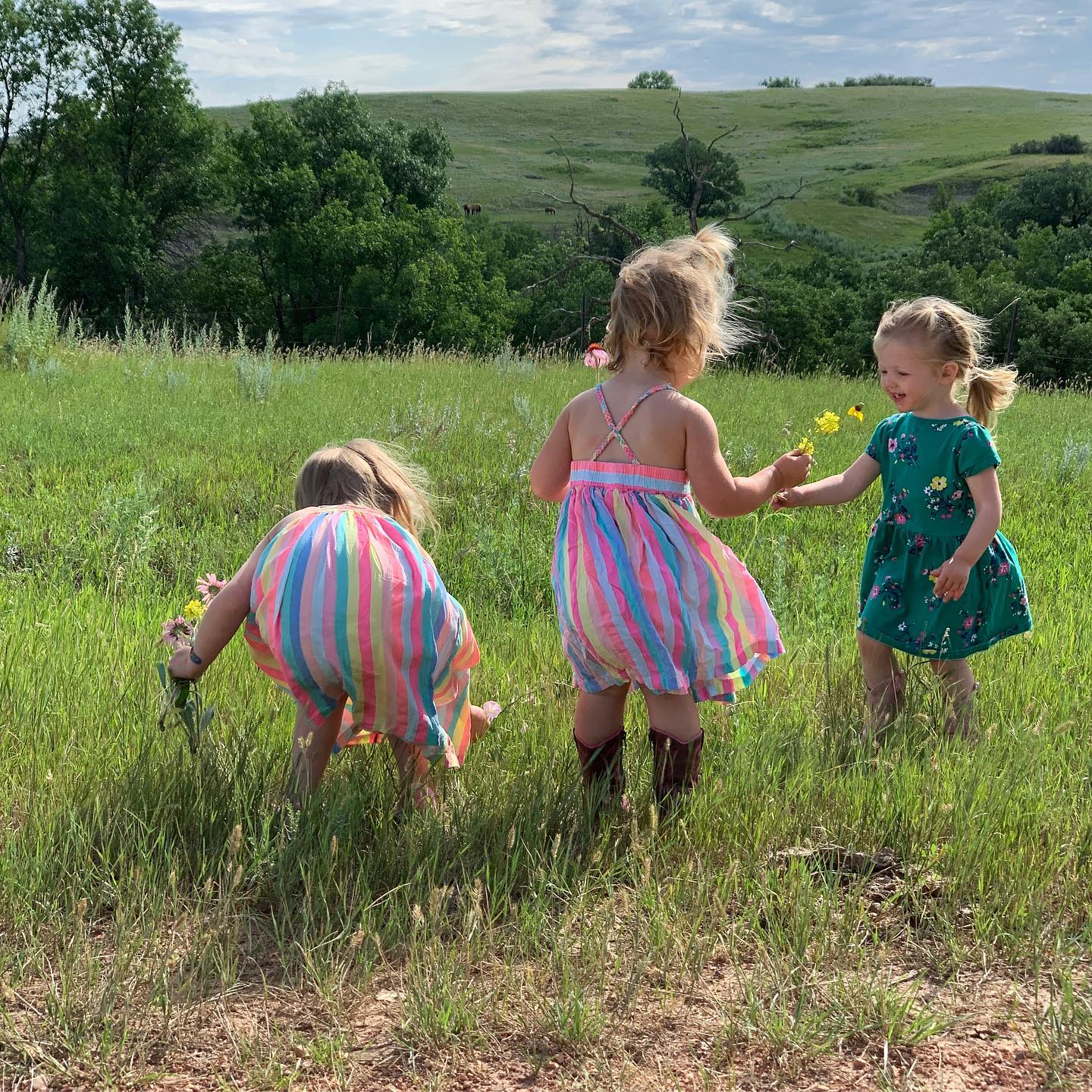 67361986_2481348661915364_3123908655603253248_o