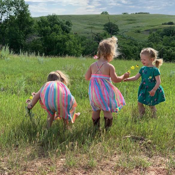 67361986_2481348661915364_3123908655603253248_o