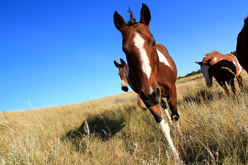 6187920416_8815bfd85a