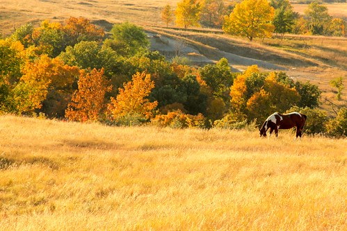 6188466507_2886ae8a95