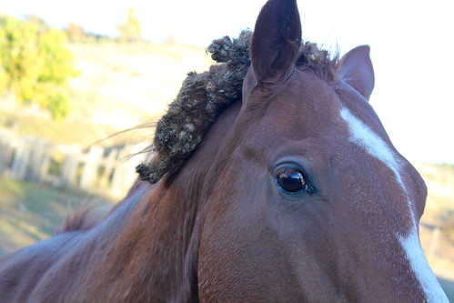 6193899802_f0019c0a13