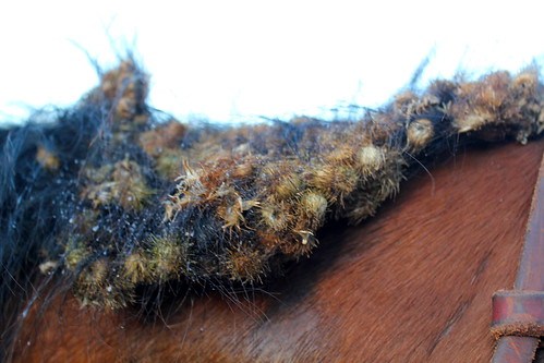 6193915248_8008c57434