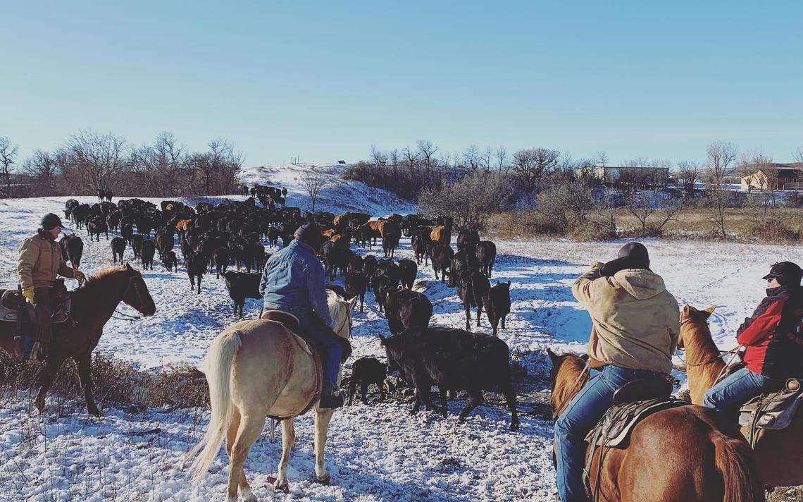 112419.f.ff_.veedercolumn.1