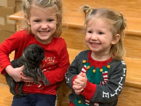 80692566_2793238480726379_8370150644333412352_n