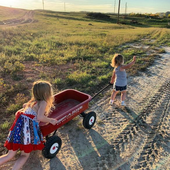 71109363_2592301427486753_3092489436529688576_o