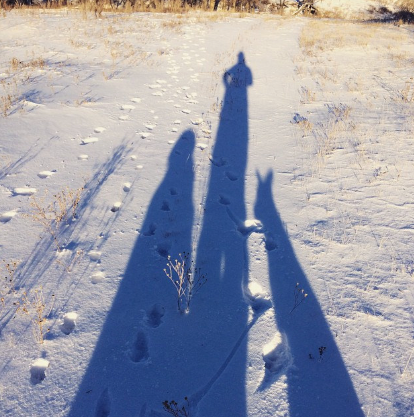 Screen Shot 2017-03-16 at 8.41.40 PM