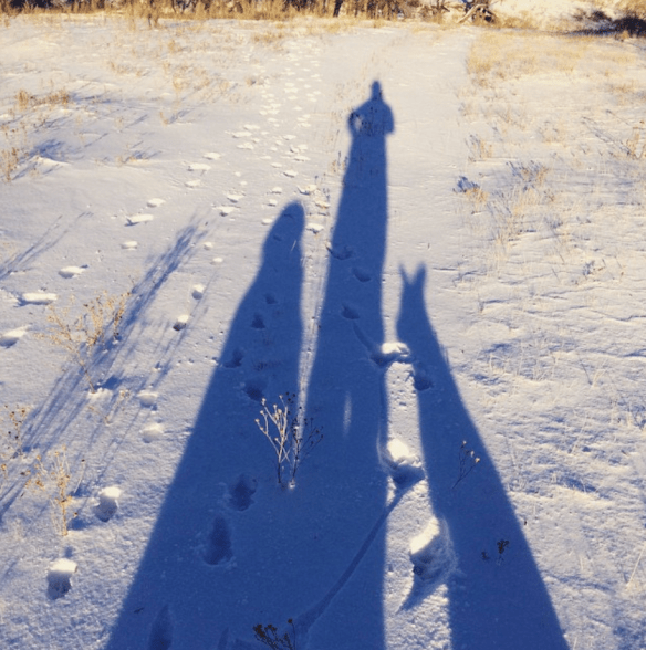 Screen Shot 2017-03-16 at 8.41.40 PM