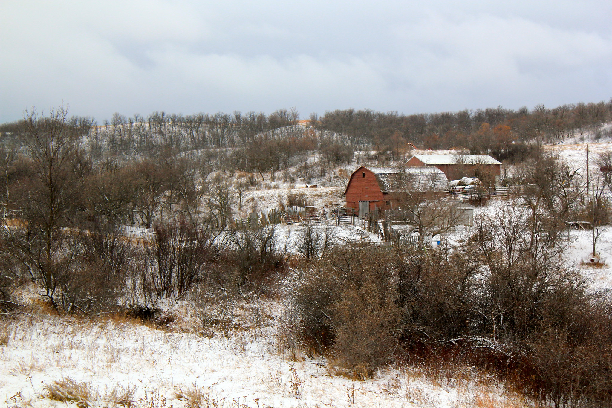 Winter barn
