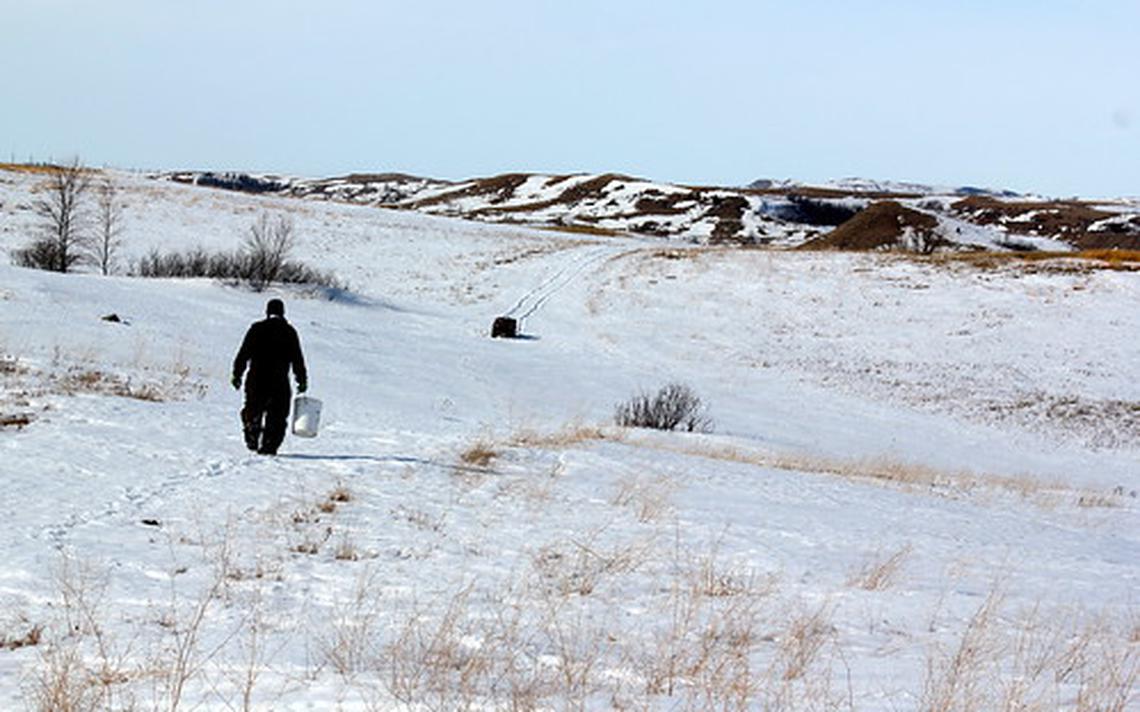 030120.f.ff_.veedercolumn