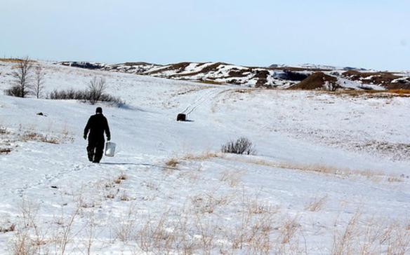 030120.f.ff_.veedercolumn