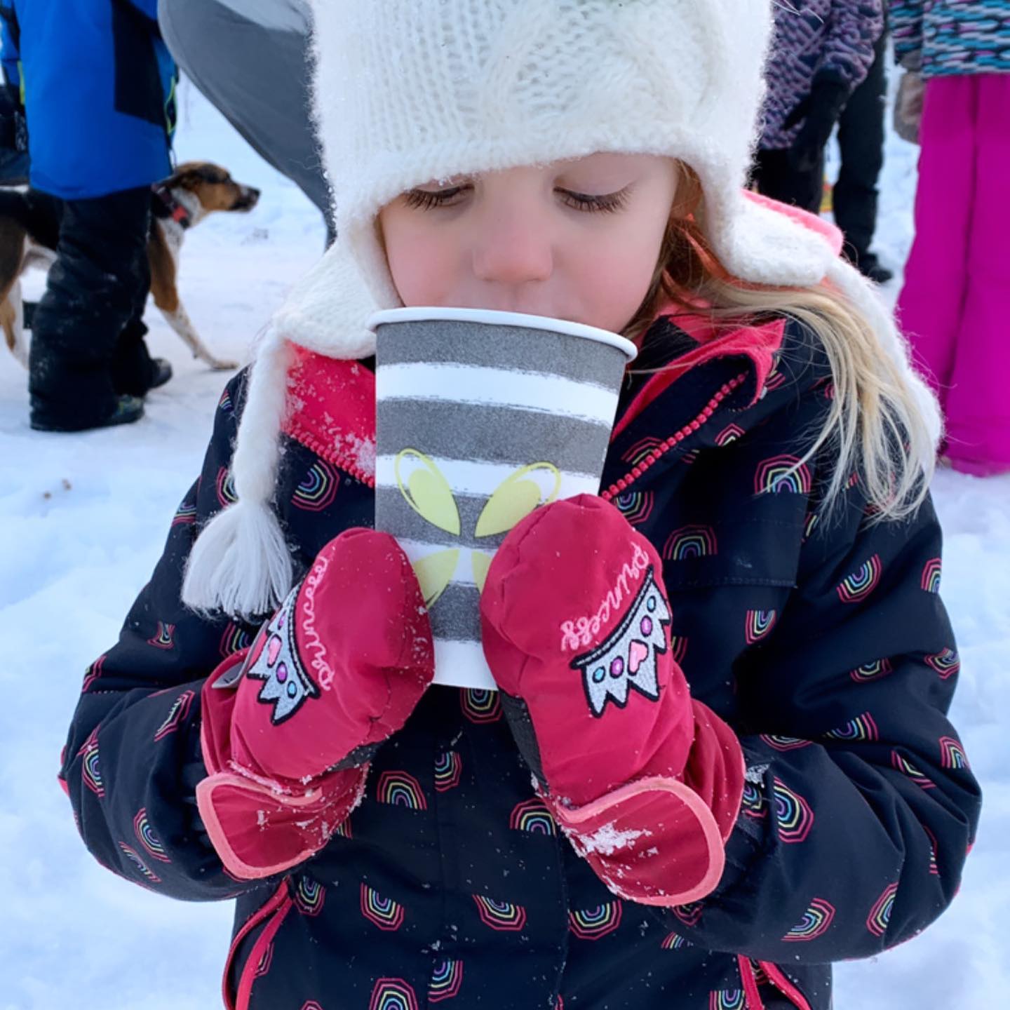 82073794_2812382352145325_1648391659177639936_o