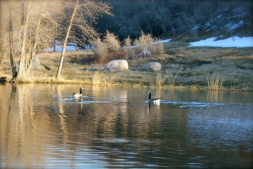 5652106675_edac6d835a