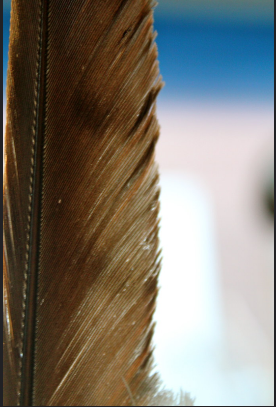 Screen Shot 2020-04-20 at 11.21.41 AM