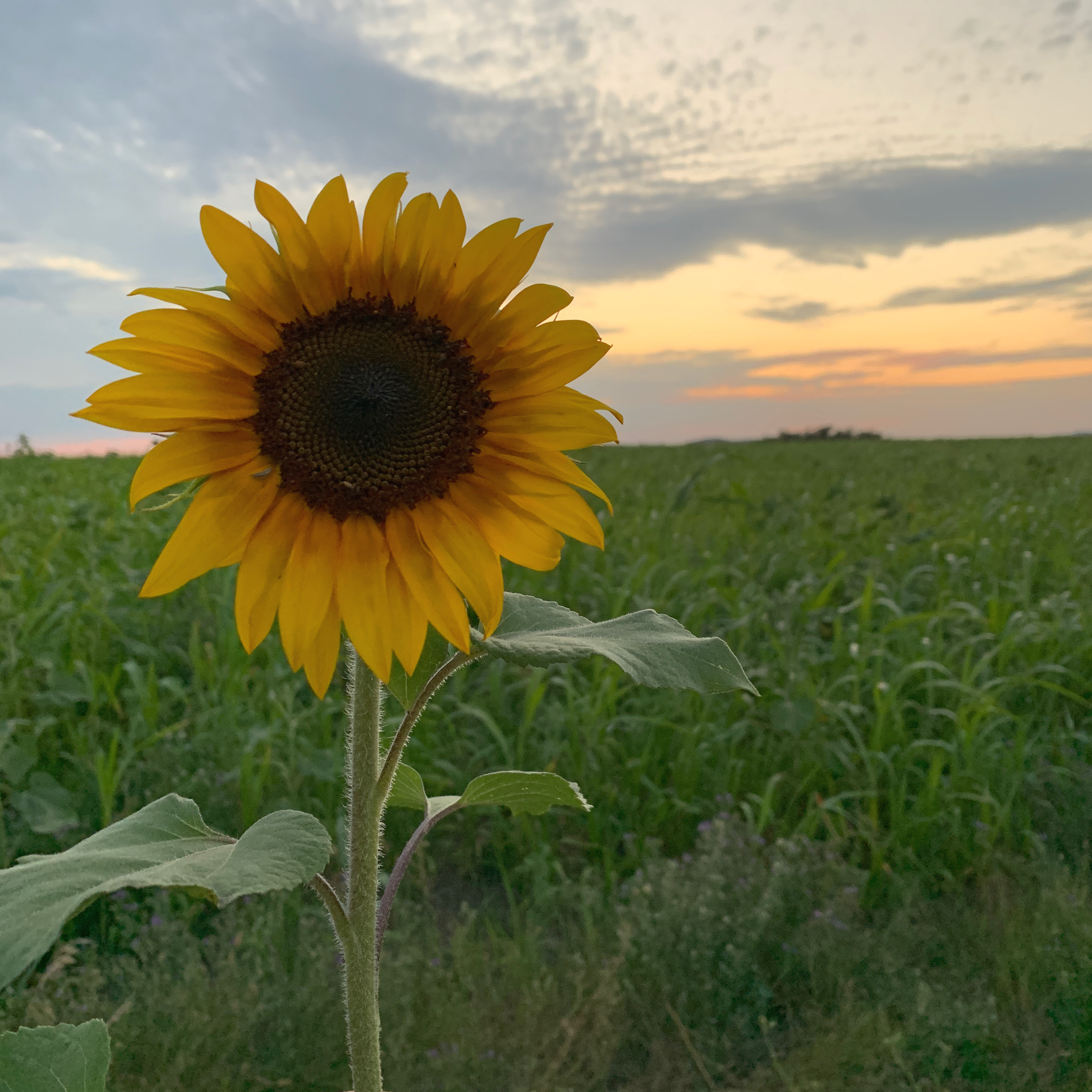 3A8043A5-9938-45F0-9FEB-2624DFA031C6