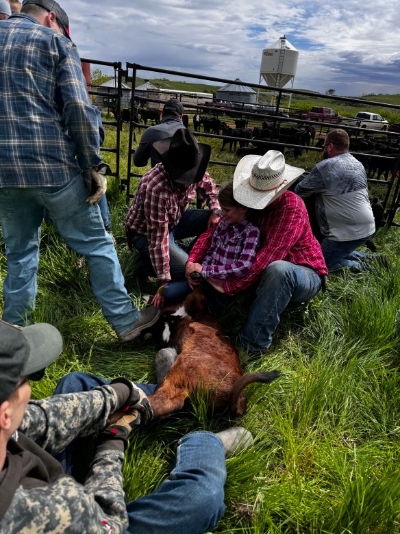 The work and all the things to love | Meanwhile, back at the ranch…