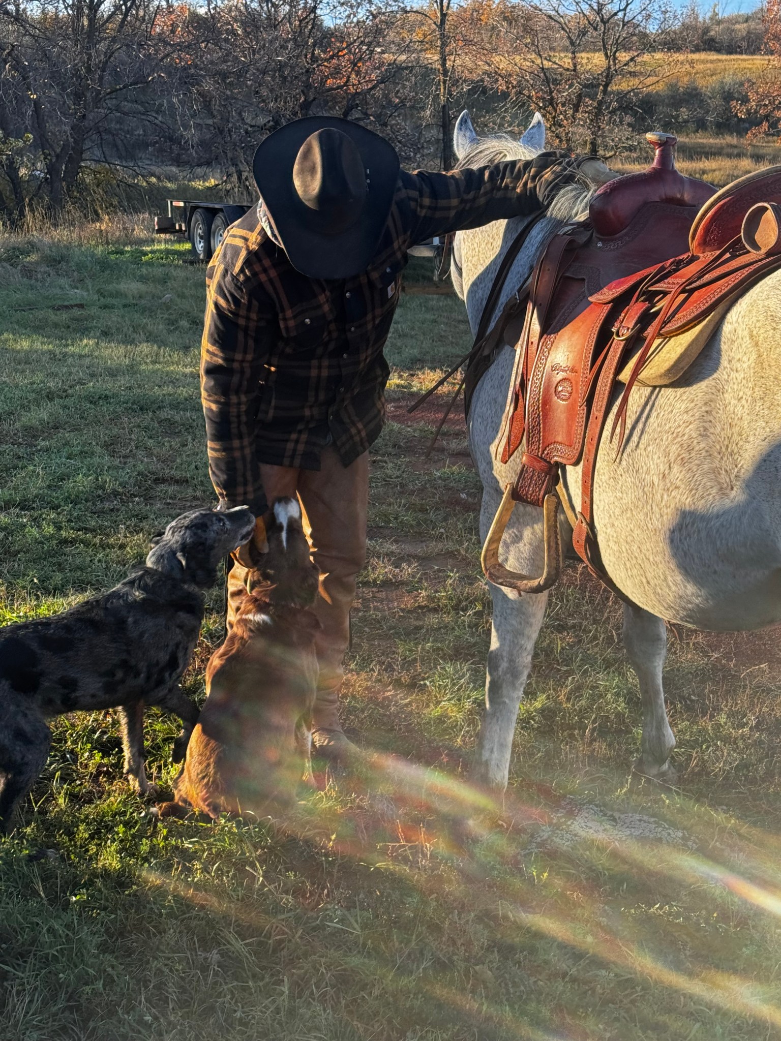 Meanwhile, back at the ranch… | Meanwhile, back at the ranch…